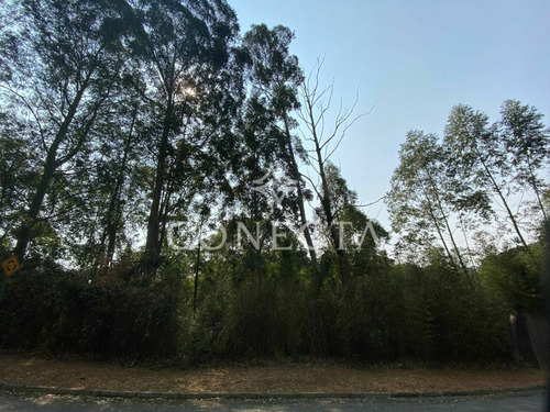 Imagem 3 de 3 de Terreno À Venda Em Tamboré 1 - 1.425m² - Declive - Oportunidade - Cncl1184
