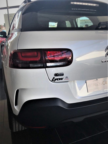 C4 Cactus Thp 165 Eat6 Shine Am21