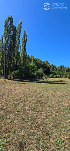 Parcela De 5000mts2 En Venta En Sector Los Junquillos
