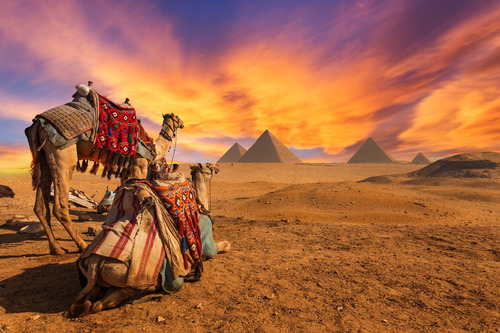 Vinilo Decorativo 40x60cm Egipto Piramides Camellos