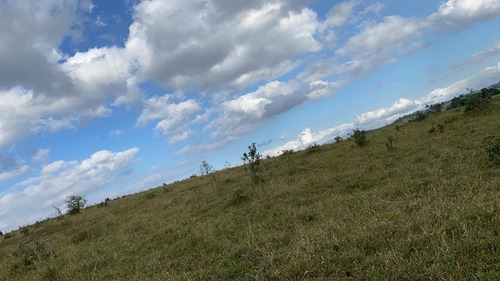 Imagem 13 de 14 de D07- Terreno Rural / Invista Já