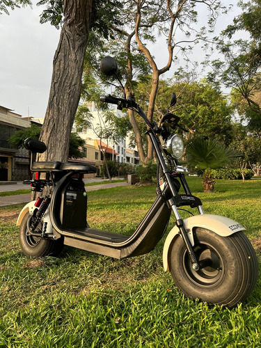 Moto Electrica Ecomood - Semi Nueva Con Garantia De Tienda 