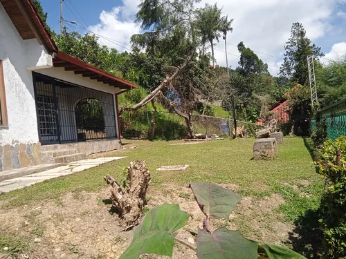Casa En El Sector Los Pinos
