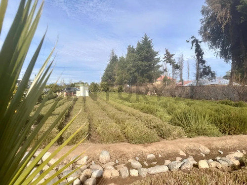 Inversión Agroindustrial Lista Para Operar | 1 Hectárea T...