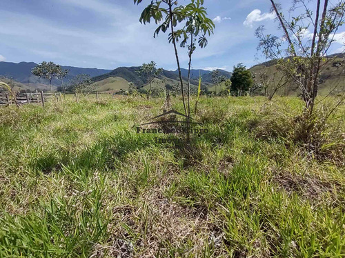 Imagem 11 de 19 de Terreno À Venda No Bairro Pilões - Guaratinguetá/sp - Tr010-1
