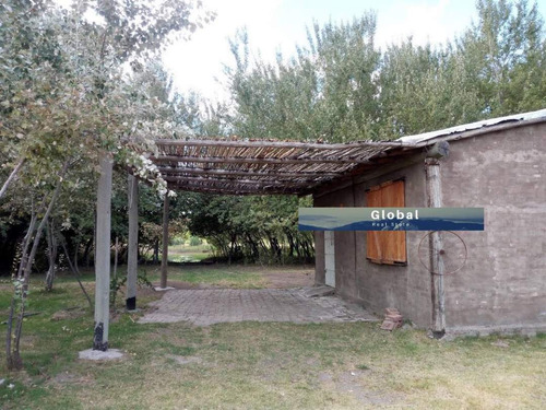 Imagen 9 de 26 de Excelente Finca De 31 Has En San Rafael , Mendoza Zona Vitivinícola Argentina