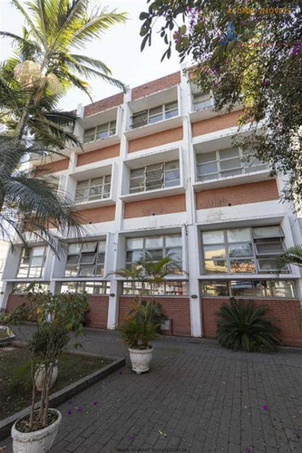 Imagem 11 de 14 de Prédios Comerciais À Venda Em São Paulo/sp - Compre O Seu Prédios Comerciais Aqui! - 1494034