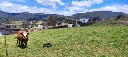 Lote En Venta En La Calera. Cod V16669