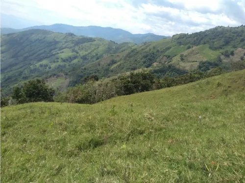 Vendo Finca Ganadera Cerca A La Cabecera De Armenia Mantequilla Ant.