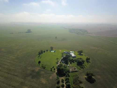 Imagen 6 de 10 de Campo - Capilla Del Señor