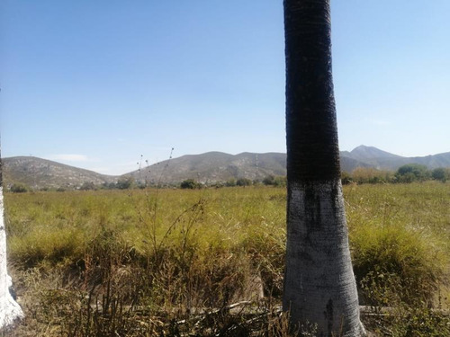 Quinta En Venta En El Huarache (el Guarache), Lerdo, Durango