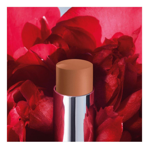 Lápiz labial Dior 210 Forever Naturelle Rouge Forever Stick, 3,2 g
