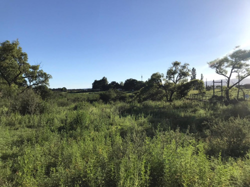 Se Vende Campo Mixto 161 Ha En Los Molinos (córdoba), A Tranquera Cerrada.