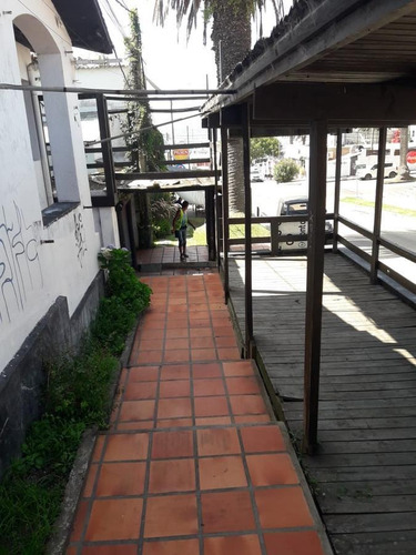 Local - Península
