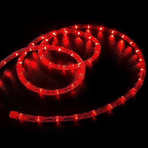 Wyzworks Led Rojo Luces De Cuerda  Flexible 2 Alambre Interi