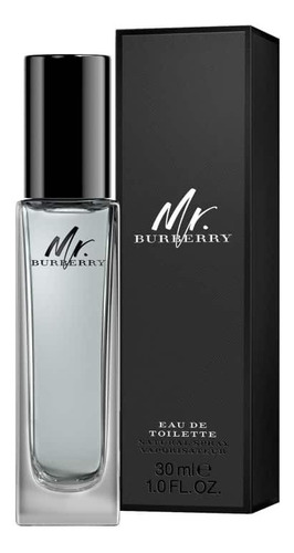 Perfume Mr. Burberry Men Edt 30ml - Selo Adipec - Lacrado