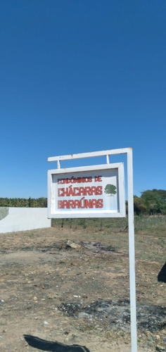 Imagem 7 de 8 de Vende-se Chácara Em Petrolina Nas Pedrinhas