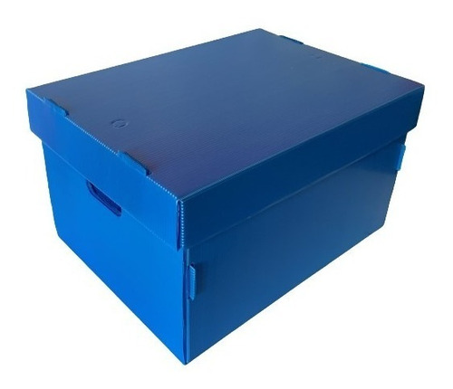 Caja Archivo Plástica Tapa Plana 42x32x25 Pack X 10 Unidades