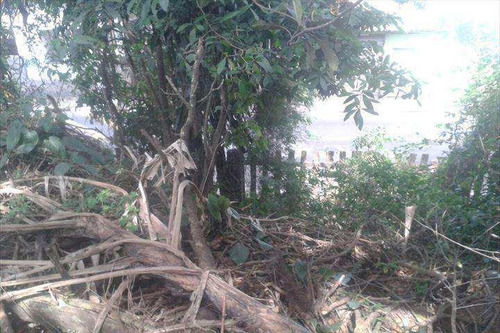 Imagem 26 de 28 de Casa Em Santana De Parnaíba Bairro Jardim Parnaíba - V233000