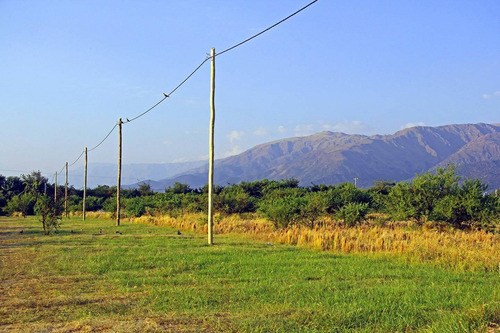 Imagen 3 de 14 de Venta De Lotes En Cortaderas Aguada De Pajaros