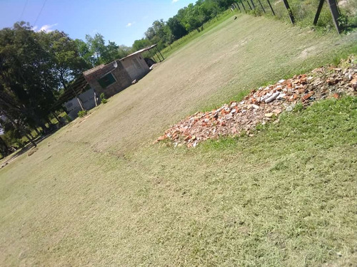 Quinta