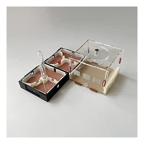 Ant Farm Nest, Kit De Aprendizaje De Ciencia De Hábitat De 