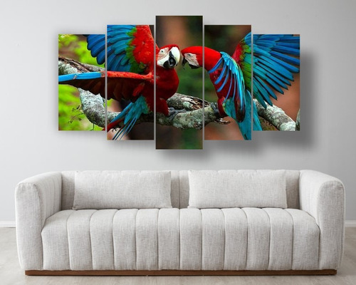 Set De 5 Cuadros Decorativo Canvas  Guacamaya, Loro Aves 1