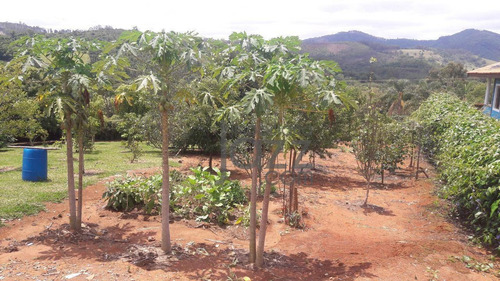Chácara Com 5 Dormitórios À Venda, 4500 M² Por R$ 600.000,00 - Ponte Alta - Vargem/sp - Ch0545