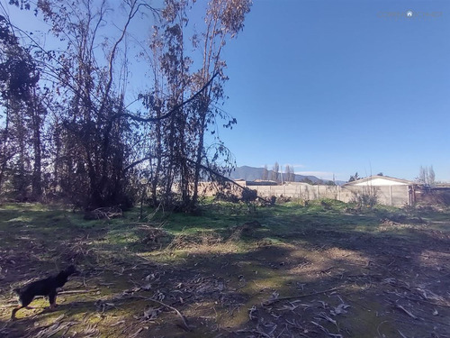 Terreno Construccion En Venta En Olivar