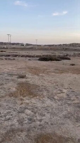 Muy Cercano A Punta Choros