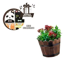 Comprar Macetero Para Plantas De 12cm En Marron Y+regalo Agendita