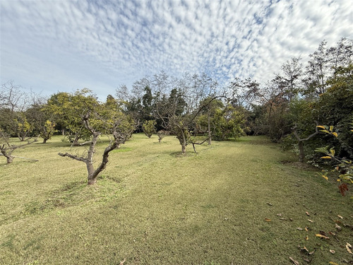 Casa En Venta De 3 Dorm. En Calera De Tango. Camino Lonquen