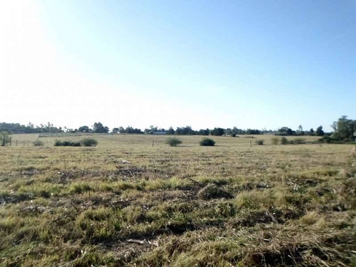Terrenos O Lotes Venta Colonia