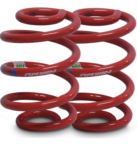 Kit Espirales Traseros Rm Rally Renault Clio 2 3-5p