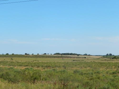 Campo En Venta En Canelones, 102 Hectáreas.