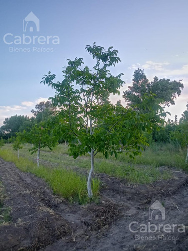 Venta De Campo En San Rafael, Mendoza
