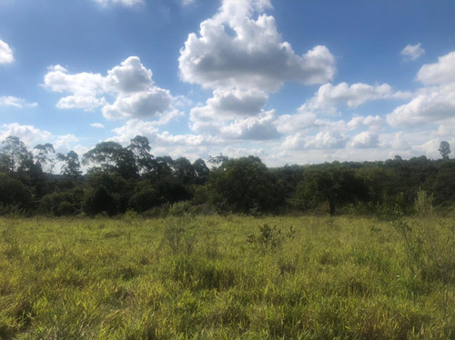 Imagem 1 de 1 de Mairinque/mato Dentro 1000m2