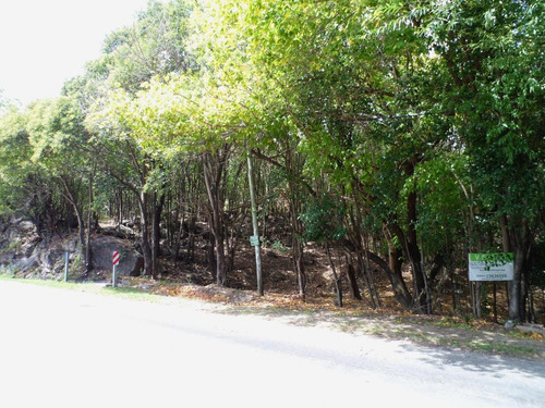 Imagen 13 de 17 de Hermosa Hectárea En Venta En Los Hornillos, Traslasierra Sobre Ruta, Escritura Y Servicios