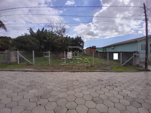 Imagem 1 de 4 de Terreno - Mina Do Mato - Ref: 33762 - V-33759