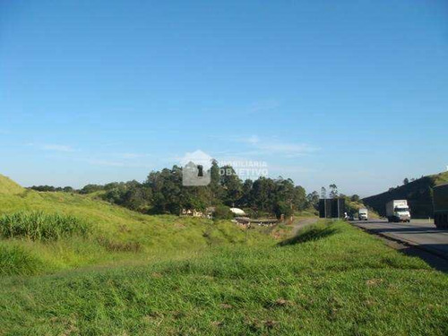 Imagem 5 de 8 de Terreno, Dona Catarina, São Roque - R$ 21.2 Mi, Cod: 4118 - V4118