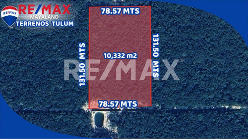 Oportunidad Hectarea En Region 12 A Solo 950 Mts De La 5ta Av Sur De Tulum