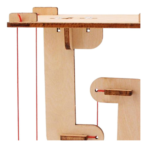 Juguetes De Ciencia Diy Juguetes De Tallo Diy Kit De
