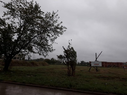 Imagen 4 de 6 de Terreno En Venta En José C Paz