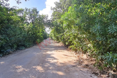 2 Terrenos Juntos 430 M2 Ideal Para Invertir En Cancún, Álamos