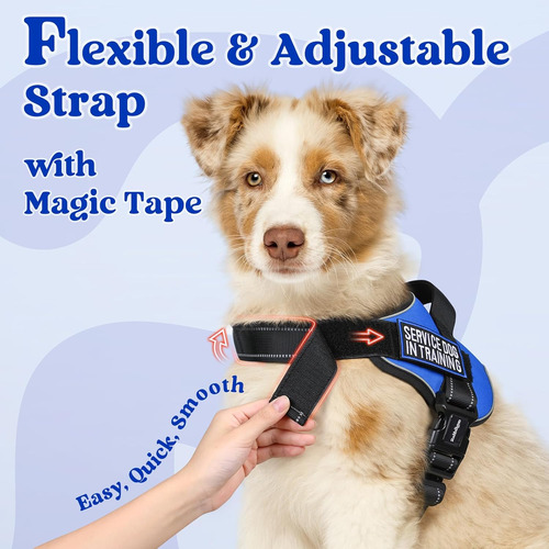 Arnés Para Perro Rabbitgoo, No Pull, Ajustable, Tamaño S