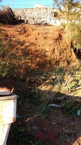 Imagem 3 de 15 de Terreno - Jardim Sao Luis - Ref: 1564 - V-1564