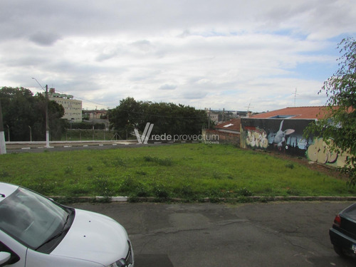 Imagem 8 de 9 de Casa À Venda Em Vila Padre Manoel De Nóbrega - Ca296178