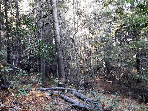 Terreno Fraccion En Venta Ubicado En Villa Lago Gutierrez, Bariloche