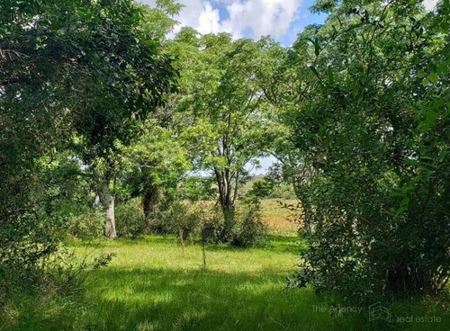 Imagen 12 de 15 de Campo Ganadero En San Jose De 126 Ha, Sierra De Mahoma, Ganadero