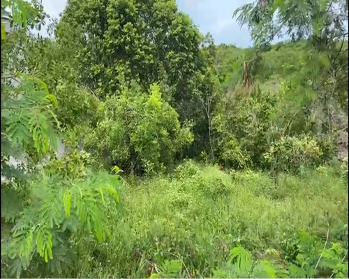 Imagem 4 de 4 de Terreno - Rg38a04 - 69375946